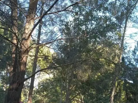 Terreno en Venta en La Plata, USD 20.000