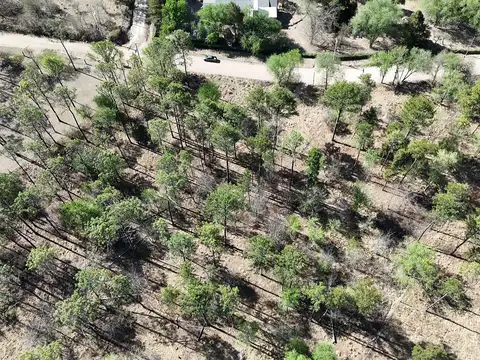 Campo en Venta de 5  ha