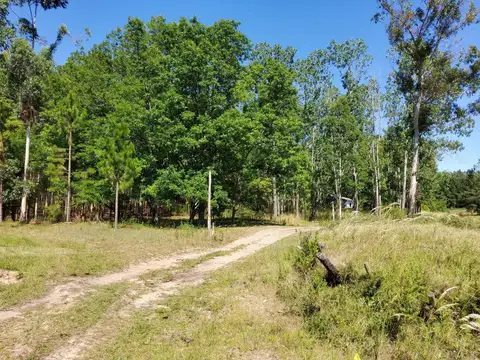 Quinta - Venta - Argentina, Concordia