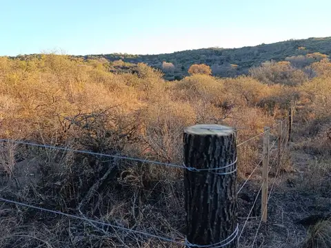 Terreno en Venta de 584,0 m2