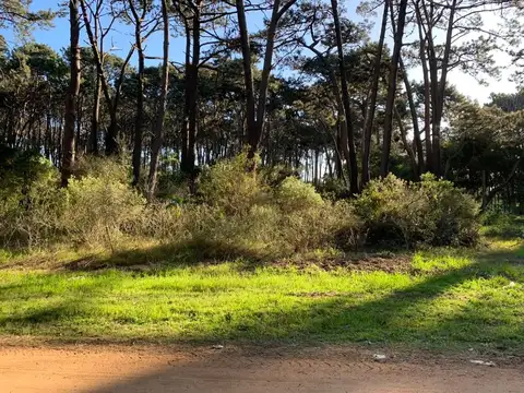 Terreno - Venta - Uruguay, Punta del Este