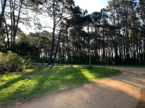 Terreno en Venta de 6000,0 m2