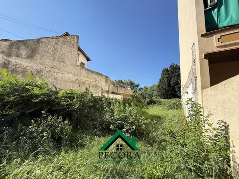 Sarmiento 1980 - San Miguel