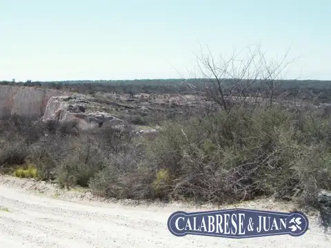 Campo en el departamento de San Martin