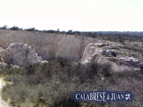 Campo en Venta de 555  ha