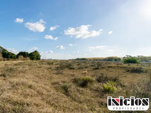 Terreno en Venta de 10000,0 m2