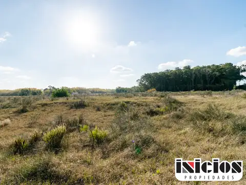 Lote: La Ballena esq. El Delfín - La Esmeralda - B350