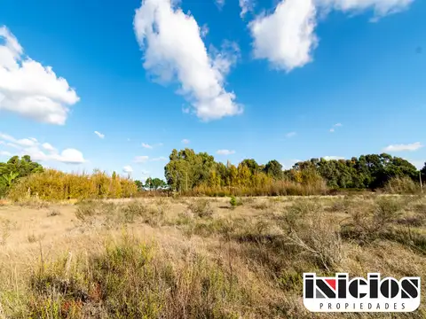 Terreno en Venta de 10000,0 m2
