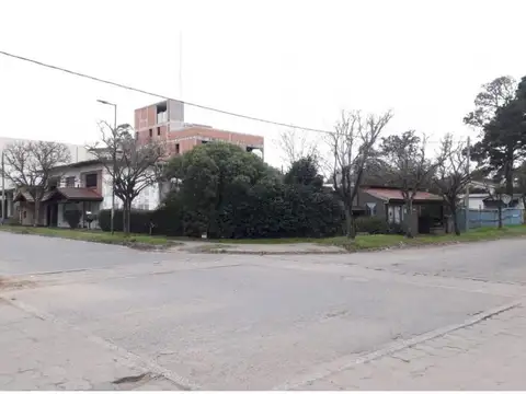 Eneas 100