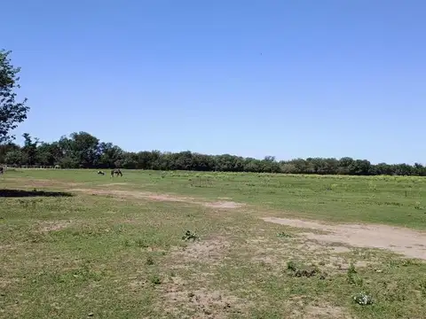Terreno en Venta de 8719,0 m2