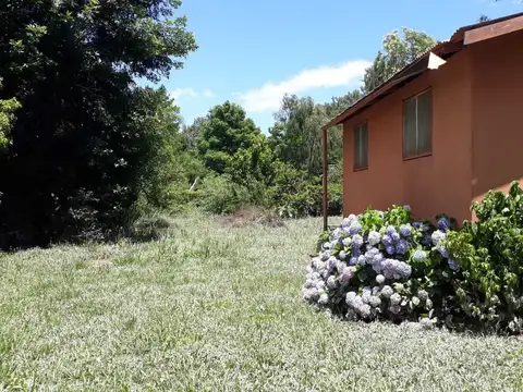 Rio o Arroyo Rama Negra 100