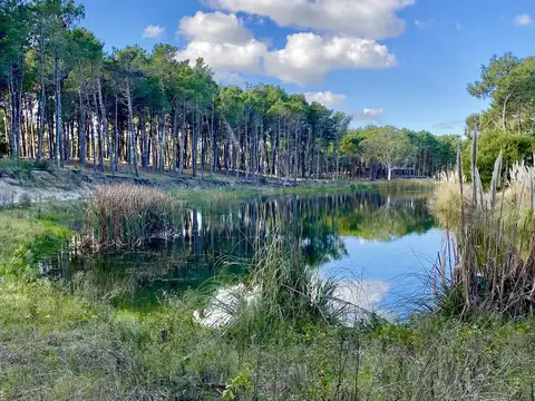 Terreno en Venta en Pinamar, USD 160.500