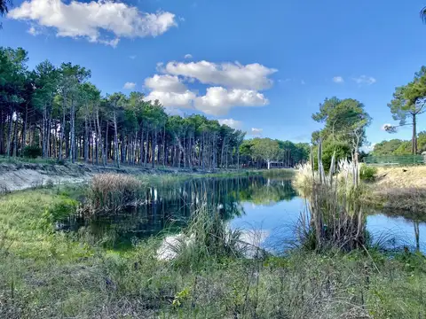 Lote de terreno con costa de laguna en Villa Robles