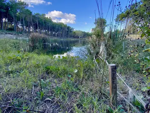 Lote de terreno con costa de laguna en Villa Robles
