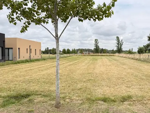 ¡Sumérgete en el apasionante mundo de La Federala, donde tus sueños cobrarán vida como nunca antes!