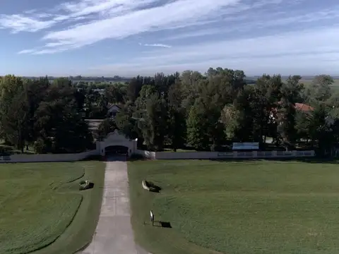 ¡Sumérgete en el apasionante mundo de La Federala, donde tus sueños cobrarán vida como nunca antes!