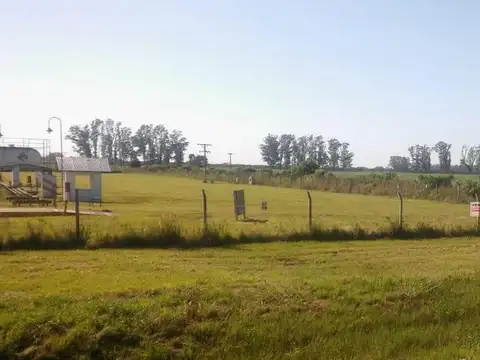Terreno - Zona Industrial