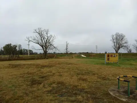 Terreno - Zona Industrial