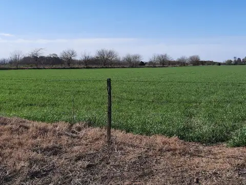Terreno en Venta de 33093,0 m2