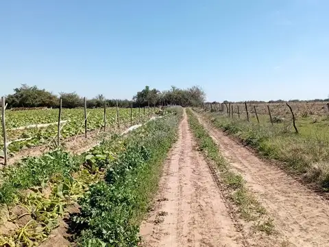 VENTA QUINTA EN FUNCIONAMIENTO 7 HAS  SOBRE  RUTA1