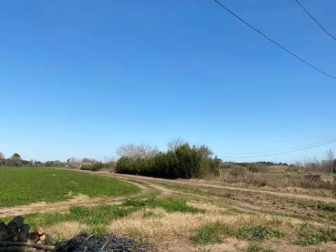 Campo (km49,5 altura instituto fleni)  50ha asfalto hasta la entrada