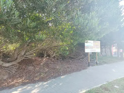 Coronel Tomás Espora, Valeria