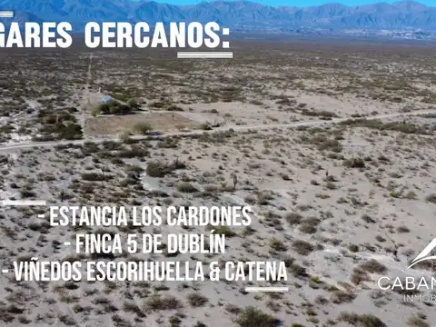 CAMPO en VENTA - SALTA - TOLOMBÓN (a 20 KM de CAFAYATE)