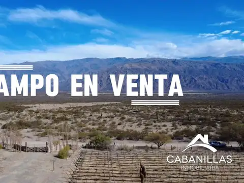CAMPO en VENTA - SALTA - TOLOMBÓN (a 20 KM de CAFAYATE)
