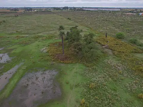 Campo en Venta Apto Desarrollo en Alvear Sobre Ruta 18