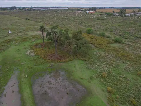 Campo en Venta Apto Desarrollo en Alvear Sobre Ruta 18