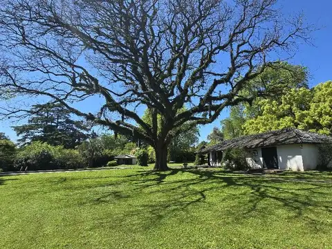 LOTE EN VENTA 8200 mts INGENIERO MASCHWITZ SERVICIOS CASA y PILETA