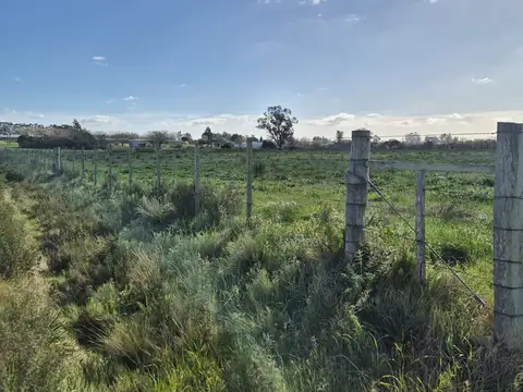 VENTA CHACRA CON CASA SANTA ROSA CANELONES