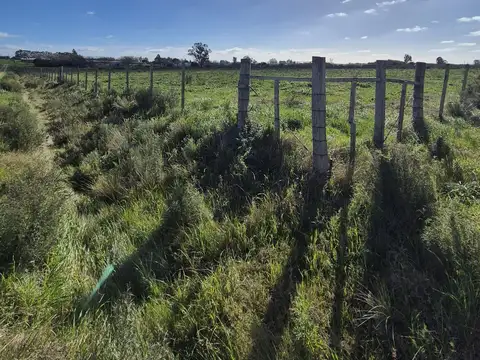 VENTA CHACRA CON CASA SANTA ROSA CANELONES