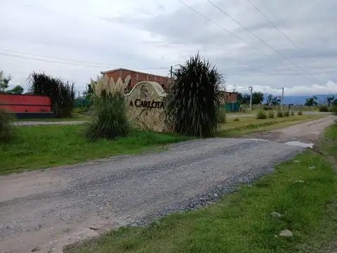 La Carlota