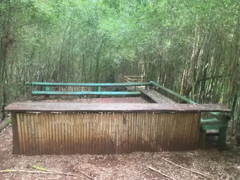 VENDO IMPRESIONANTE GRANJA PESQUE Y PAGUE EN POSADAS MNES