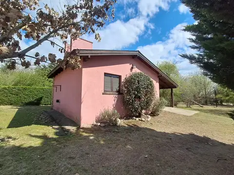 Alvarez Thomas 100