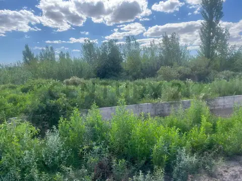FINCA EN VENTA EN COSTA DE ARAUJO (LAVALLE)