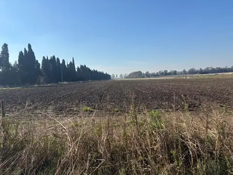 2,5 has divididas en 2 lotes excelente ubicación.