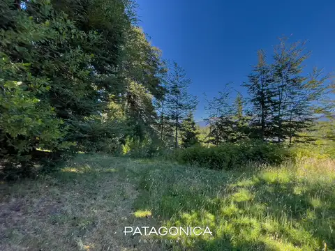 VENTA LOTE 1.610m2, B° PRIVADO LOS RODODENDROS, VILLA LA ANGOSTURA