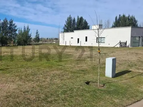 RUTA 58 , Piso 0