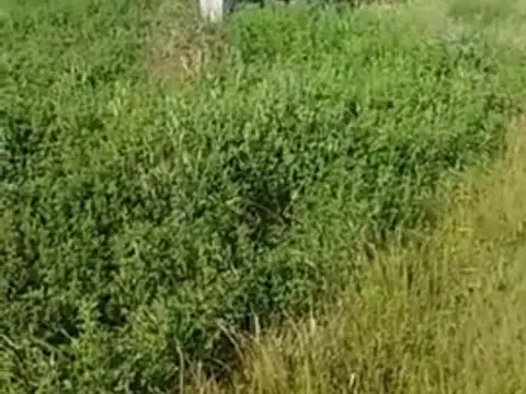 Terreno en Venta en Altos Del Mar Golf, USD 16.000