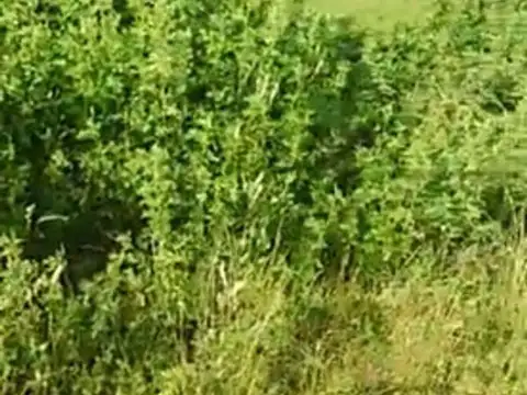 Terreno en Venta de 800,0 m2