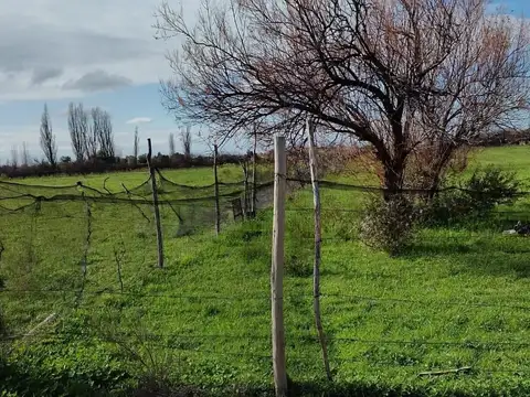 Terreno en Venta 58  mts Fondo