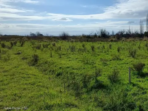 Terreno en Venta de 5000,0 m2