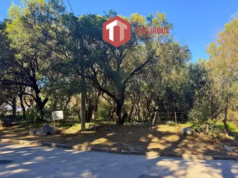 Terreno en Venta 54  mts Fondo