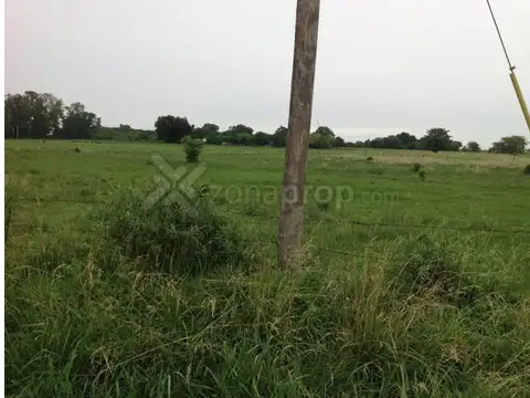 Old man 360 - Belén de Escobar - Escobar