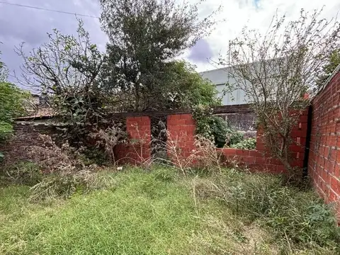 Miralla 2659 100