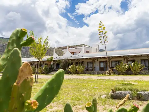 Cafayate. La Banda de Arriba. Lote 100