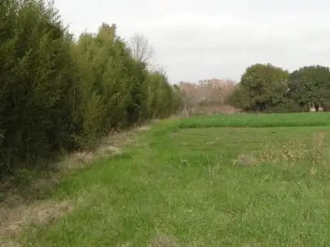 Terreno en Venta de 30000,0 m2