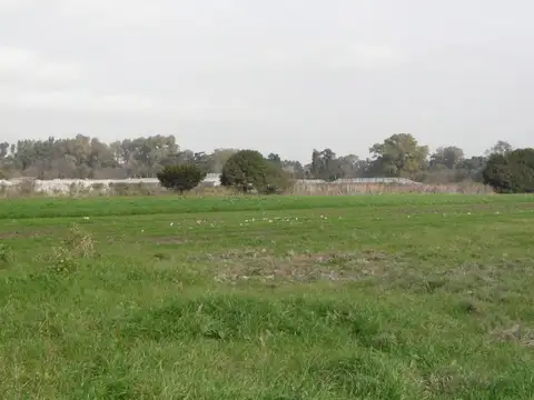 Francisco Lauria 3000